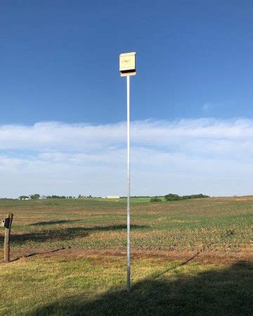 mounting a bat house metal pole|mount bat house on tree.